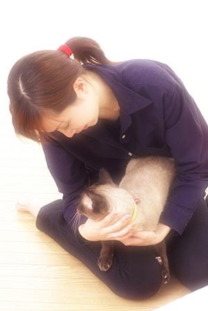 頼りになる杉並区にある動物病院