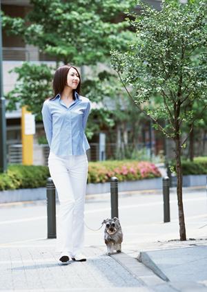 犬の健康をサポートするための療法食「ロイヤルカナン」の効果的な活用法