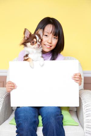 シロアリ駆除ならアサンテ|即日対応・土日祝も受付で安心のサービス