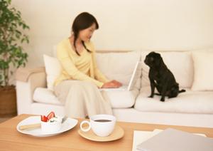 信頼の東証プライム上場企業が提供するシロアリ駆除サービス ? 迅速対応と高品質な施工で安心をお届け